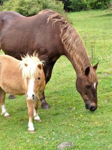 Stella & Sprite 20130530