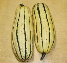 Delicata Squash